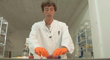 El biólogo Cornelis Vlasman muestra