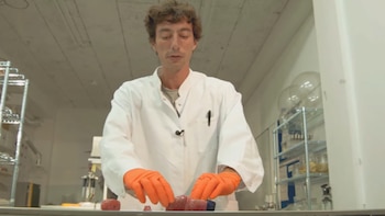 Vida artificial en un trozo