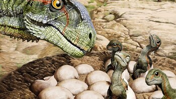 Cómo unos huevos de dinosaurio