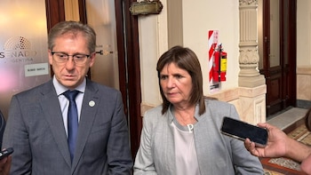 Senado: qué propone el régimen de incentivos a inversiones que la UCR le pide al Gobierno