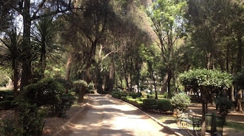 El Jardín Ramón López Velarde