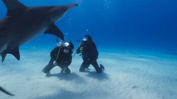 OCEANXPLORERS | Disney+ | Captura