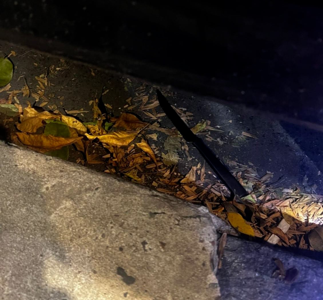 El arma utilizada en el robo