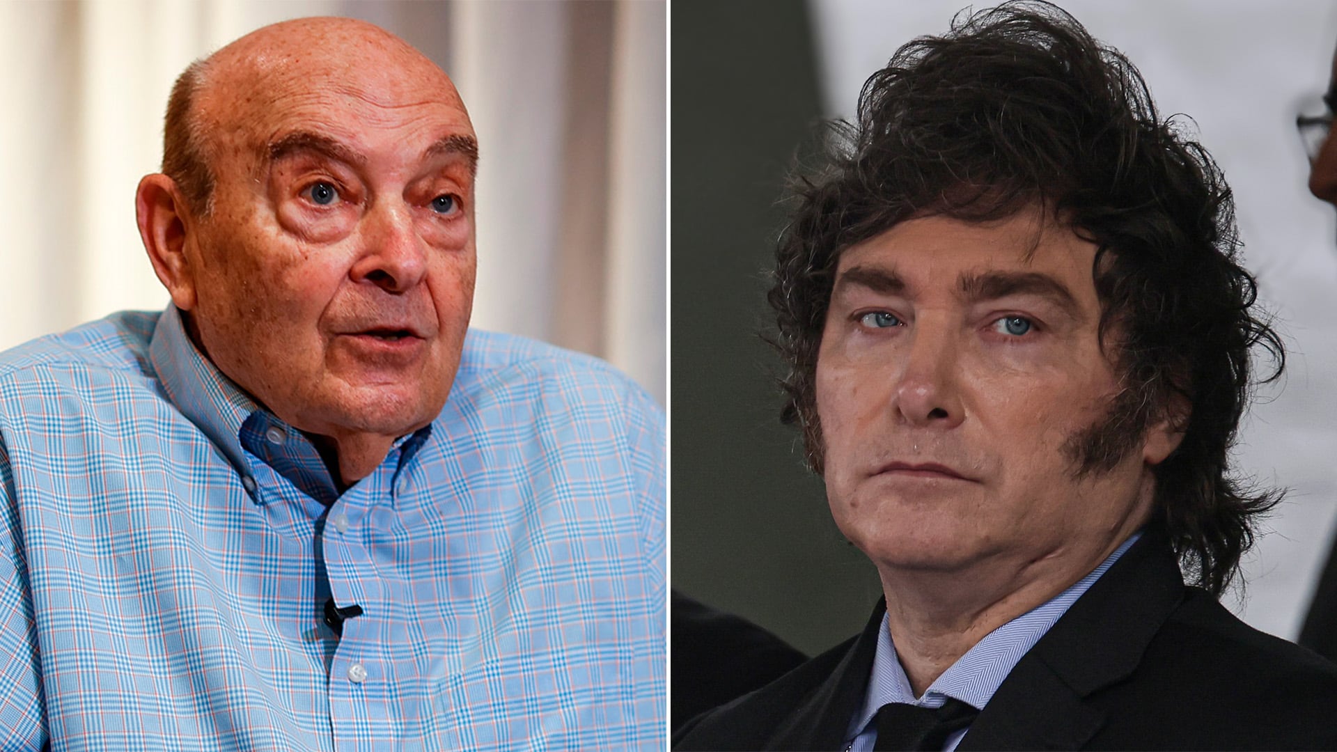 Domingo Cavallo y Javier Milei