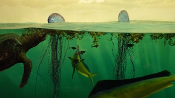 Cómo la muerte masiva de