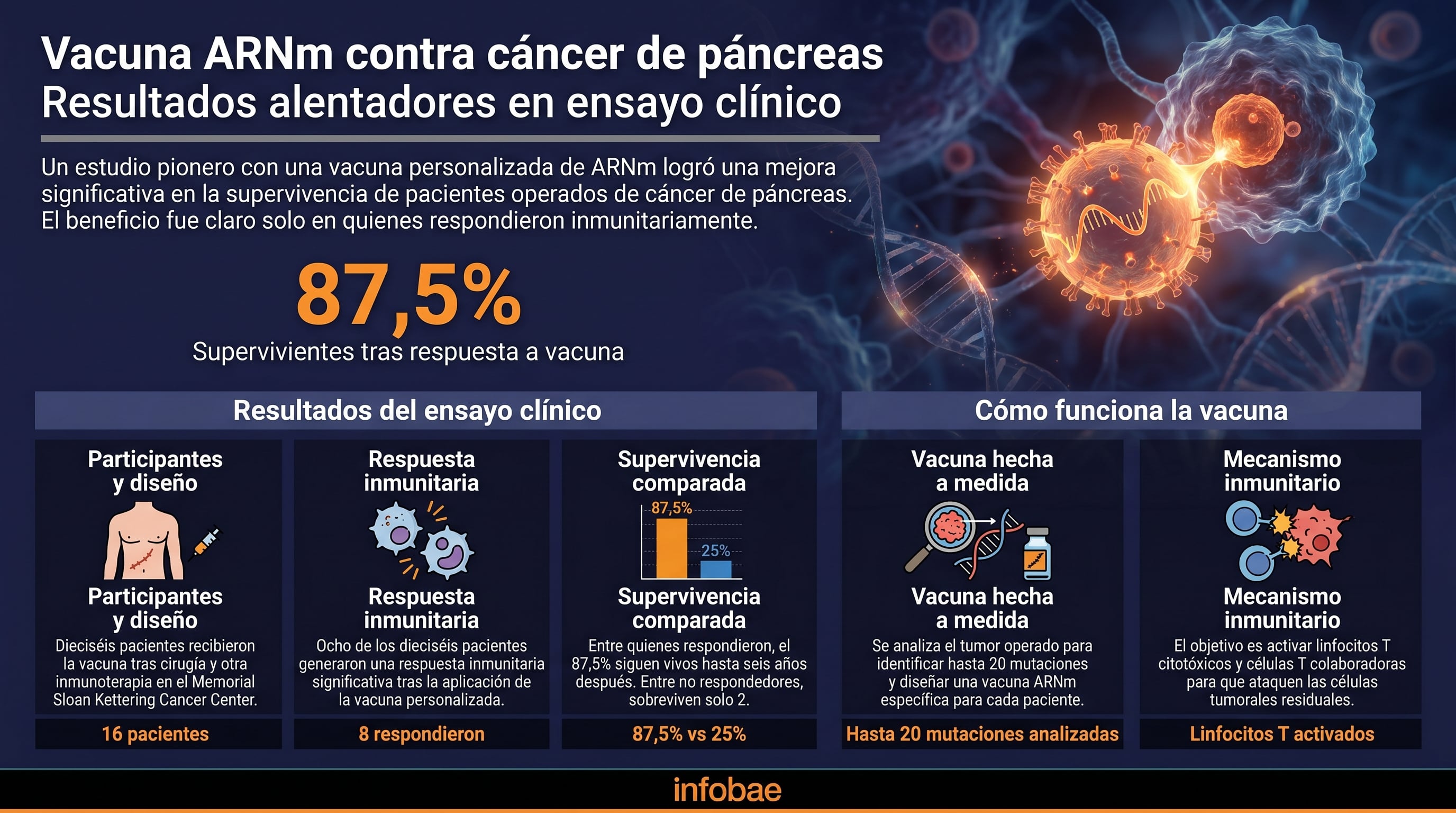Un estudio pionero del Memorial Sloan Kettering Cancer Center con una vacuna de ARNm personalizada muestra una mejora significativa en la supervivencia de pacientes con cáncer de páncreas que respondieron inmunológicamente. (Imagen Ilustrativa Infobae)