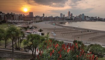 A raíz del coronavirus muchos