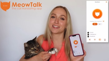 Esta aplicación es un traductor