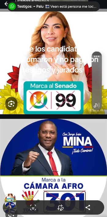 La senadora electa María Irma