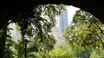 La administración de Mamdani impulsa aumento de cobertura arbórea en Nueva York