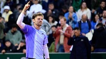 Goffin accedió a la siguiente