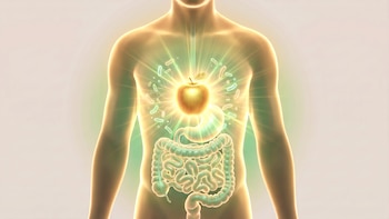 Qué ocurre en el intestino al comer una manzana por día durante tres meses