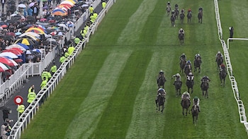 Los pasos para jugar Quíntuple