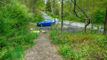 Senderismo y fauna silvestre se