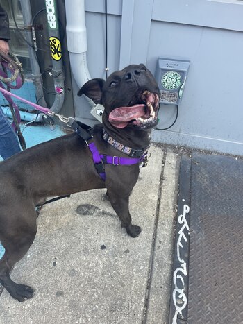 En marzo pasó su primera