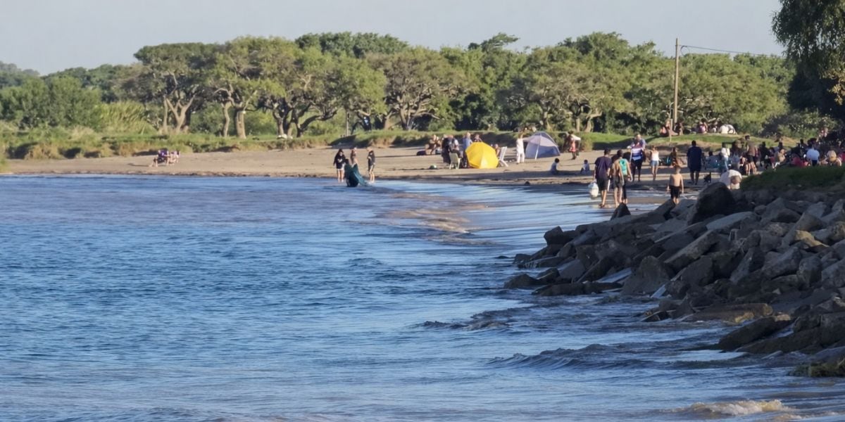 El parque costero del sur, declarado Reserva de la Biosfera por la UNESCO, protege 25.000 hectáreas de bosques, humedales y biodiversidad en Punta Indio (Captura/YouTube)