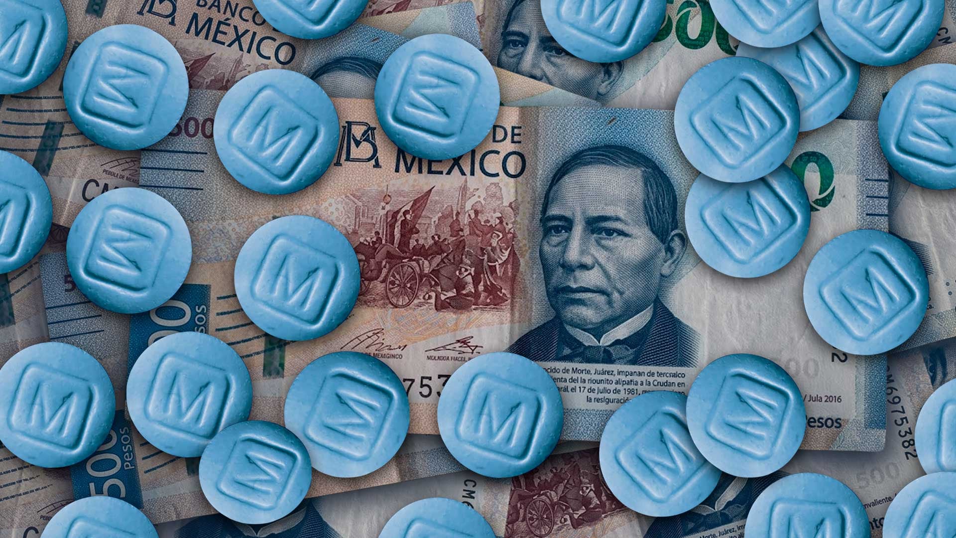 Foto: Jesús Aviles / Infobae México