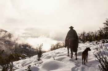 Gaucho en Cerro La Momia,
