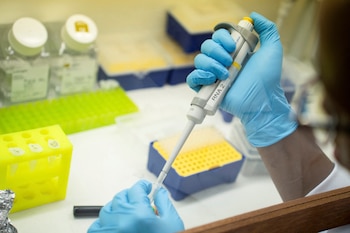 La investigación liderada por Nikhil