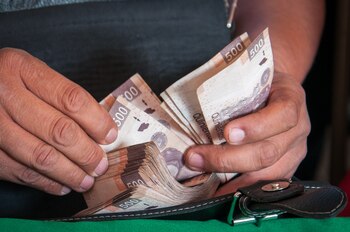 De acuerdo con el INE,