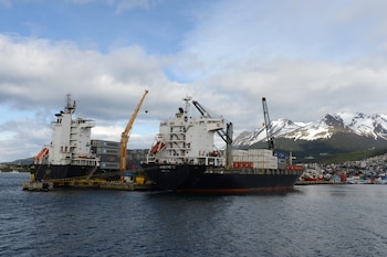 En términos logísticos, esta adecuación no solo reduce el costo directo de uso del puerto, sino que también mejora la previsibilidad en la operatoria (Foto: Shutterstock)