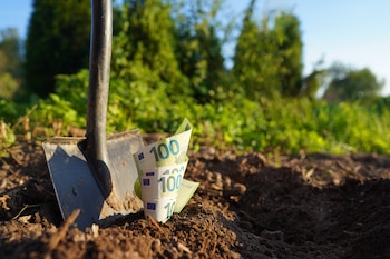 Un agricultor encontró una gran