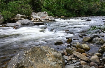 El país garantiza el abastecimiento de agua para el consumo humano, la producción agrícola, la generación de energía y la conservación de la biodiversidad. (MiAmbiente)