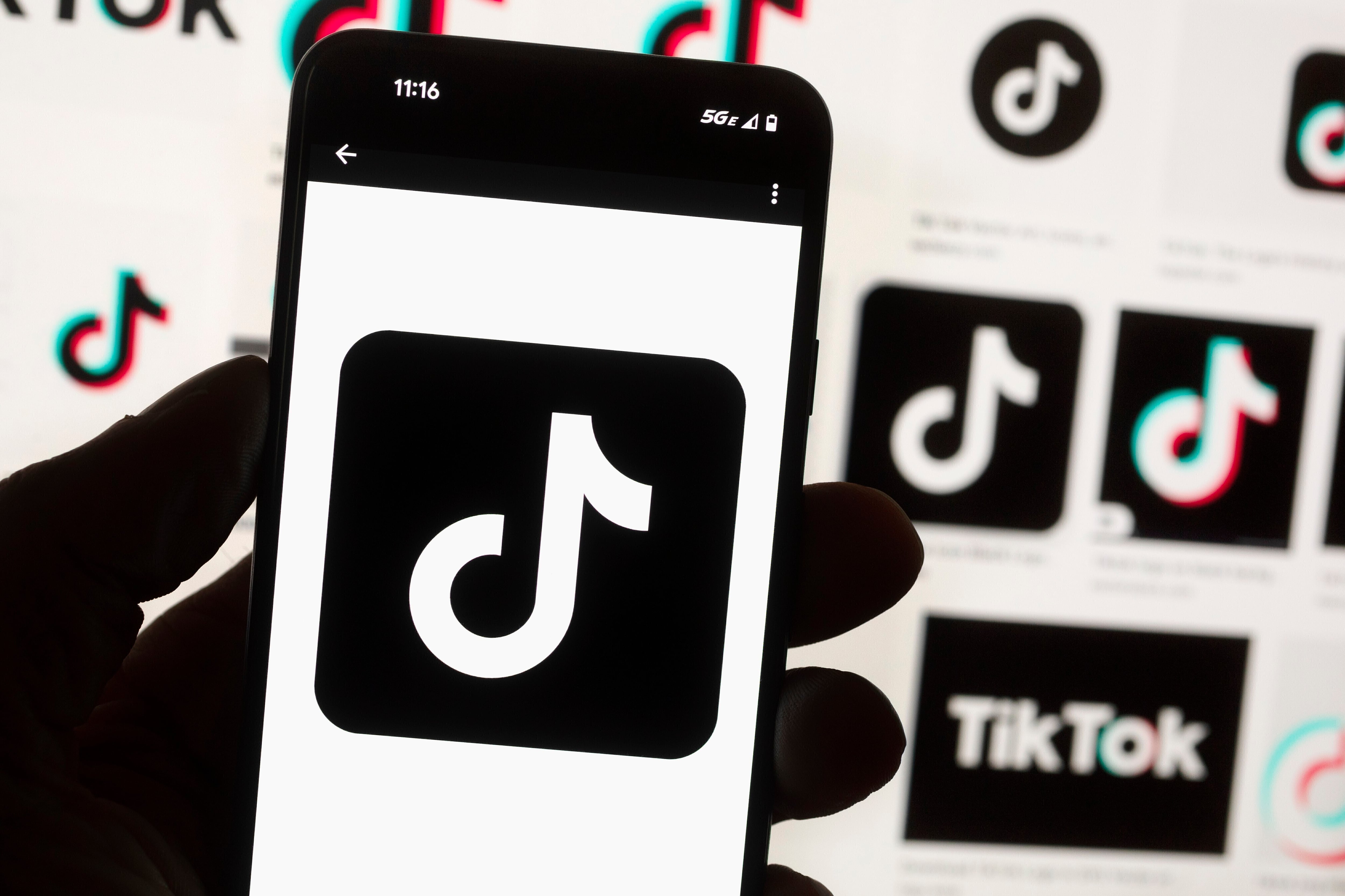 Lucha contra las granjas de bots: TikTok eliminó más de 86 millones de cuentas falsas - (AP Foto/Michael Dwyer, archivo)