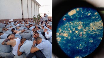 Se estableció un cerco sanitario