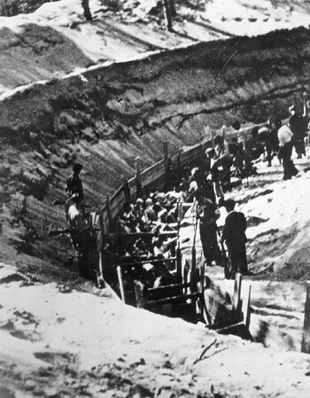 Sakowicz escribió con precisión clínica,