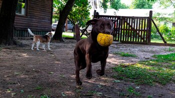 Imagen 35WYIVMXURFWNAVSPEB4A5S44Y