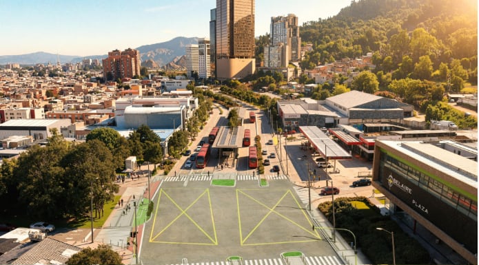 La cabildante Heidy Sánchez alertó sobre un posible riesgo para los árboles y el derecho colectivo a un entorno limpio - crédito IDU