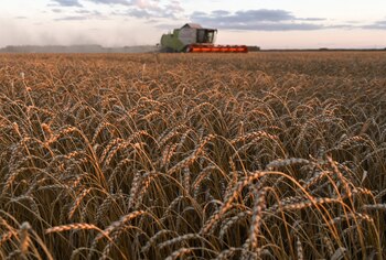 La falta de insumos importados