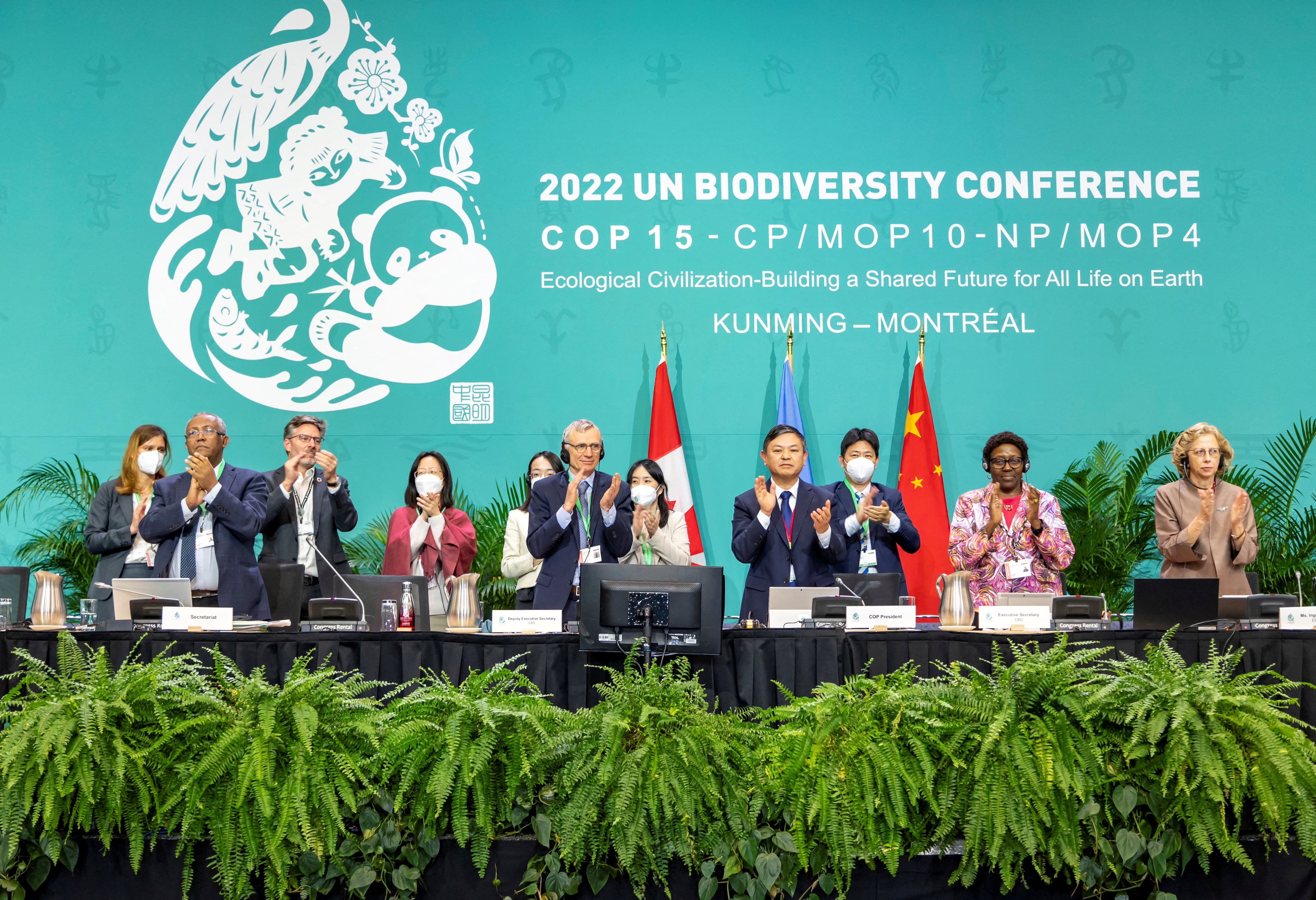 La COP17, la conferencia de las Naciones Unidas sobre biodiversidad, se celebra cuatro años después de que la mayoría de los países respaldara un acuerdo histórico para frenar la pérdida de naturaleza y revertir su deterioro antes del final de la década (REUTERS)