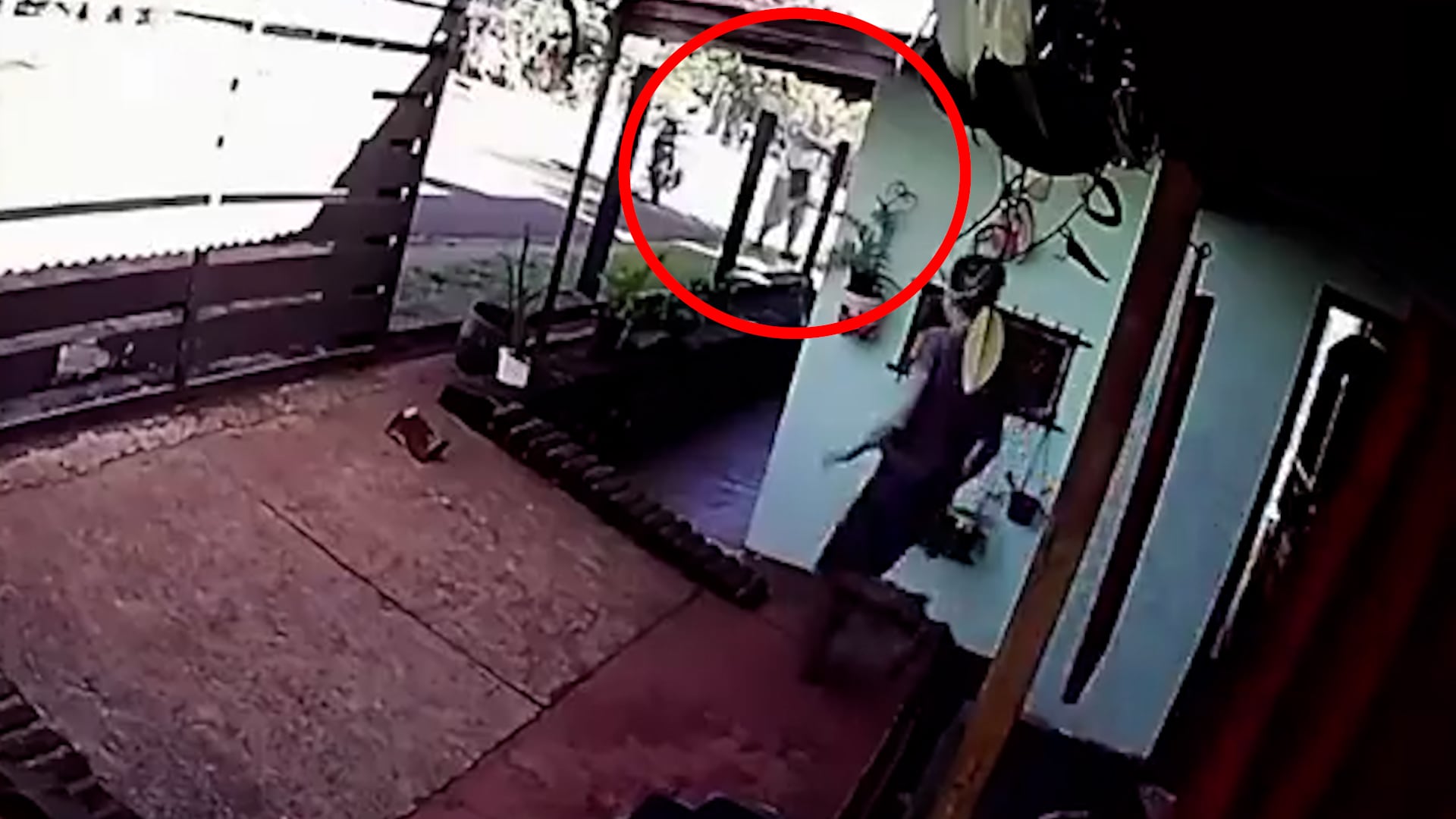 La esposa de la víctima escuchó las detonaciones y salió corriendo de su casa