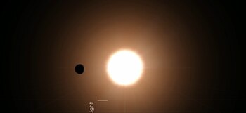 Un reciente estudio publicado en