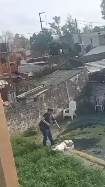 ADIETSRADOR ASESINO DE PERROS