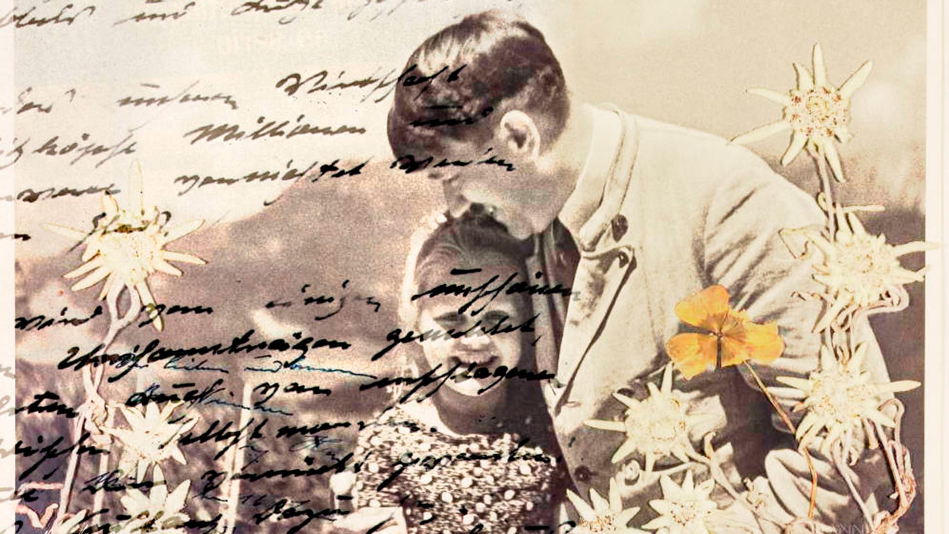 Ante las dudas sobre la veracidad de los diarios, la revista entregó tres de ellos a los Archivos Federales de Alemania para que los analizaran sus especialistas en grafología y expertos sobre documentación de la época. Sus conclusiones fueron demoledoras: los cuadernos eran “totalmente falsos”