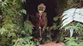 Arte y Naturaleza en Bichacue