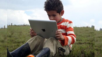 O governo garantiu que alocará