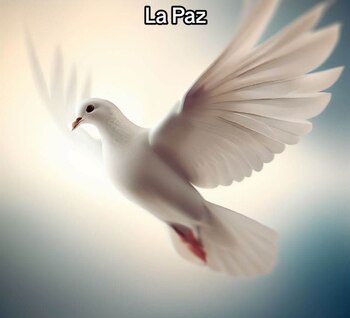 Así se ven las estaciones