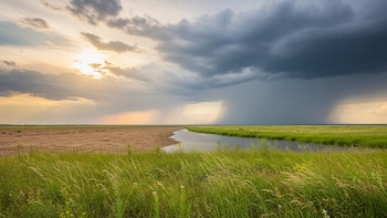 Por qué el secreto de los campos que resisten las catástrofes climáticas estaría en la naturaleza