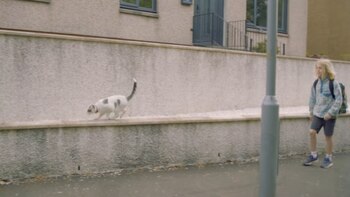 Kiki acompaña a Sonny todos