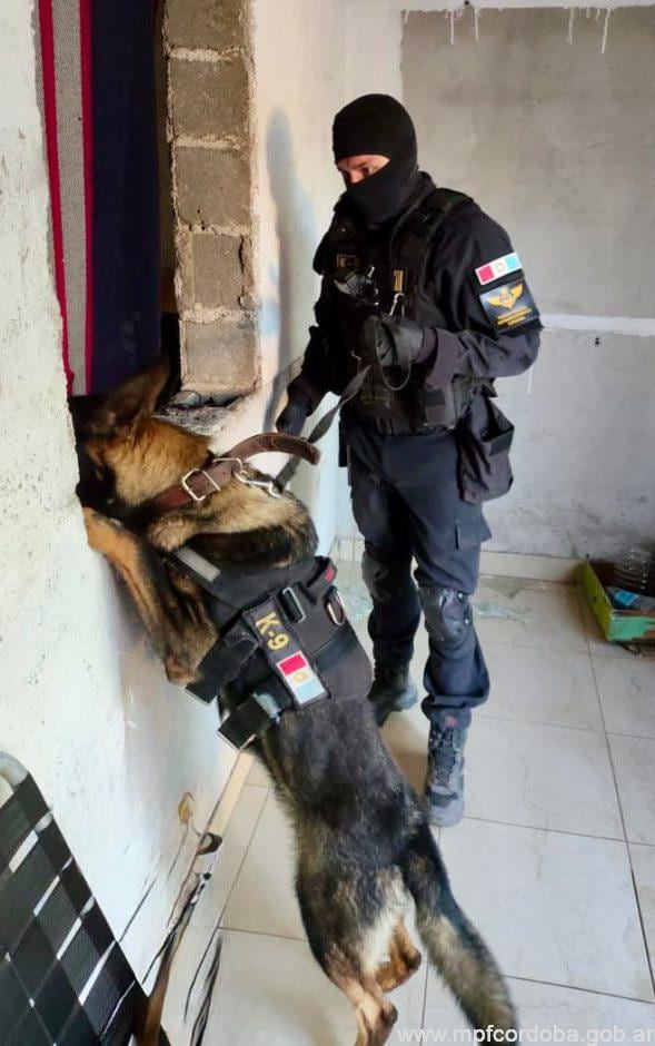 El despliegue incluyó la participación de la División K-9, cuyos canes detectores colaboraron en el registro manual de los inmuebles y celdas (MPF Córdoba)