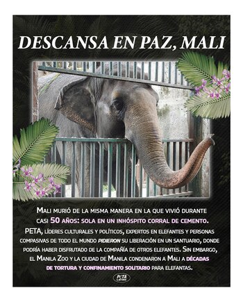 PETA se pronunció en contra