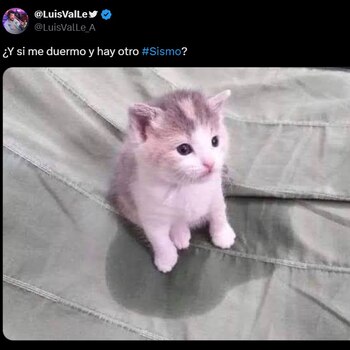 Estos son los mejores memes