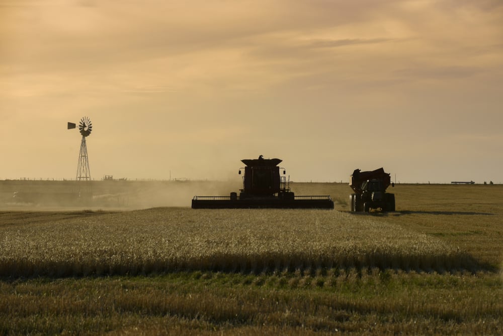 Según Orlando J. Ferreres, el rubro Agricultura y ganadería registró una variación negativa de 4,8% interanual en julio.