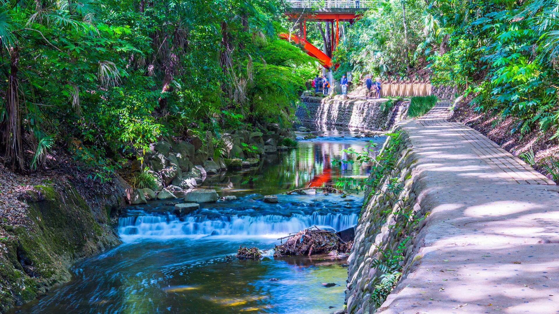 Las cascadas, los bosques y los puentes forman parte de las películas de Studio Ghibli (Japan National Tourism Organization)