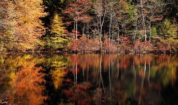 Fotografía del lago Walden, también conocido como estanque Walden. (REUTERS/Brian Snyder)