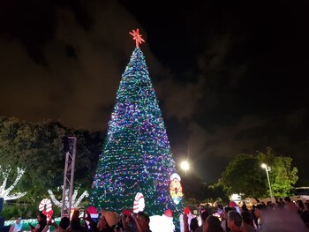 Foto: @MaraLezama / Twitter.